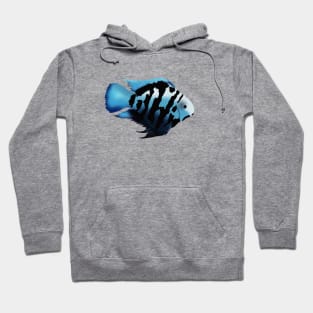 Polar Blue Cichlid Fish Hoodie